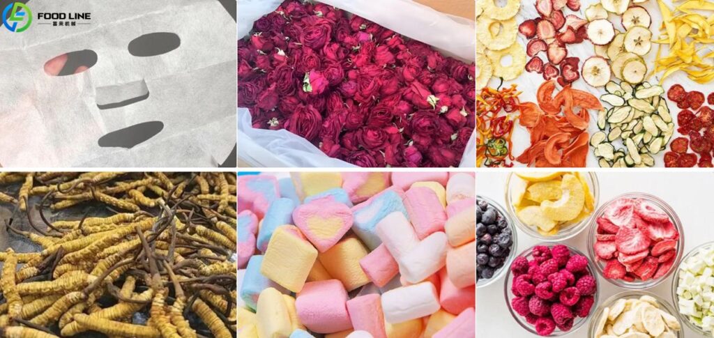 freeze dryer products